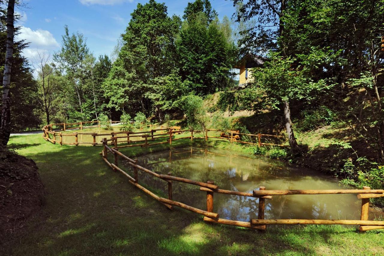 Osada Sroczy Jar Villa Rozpucie Luaran gambar