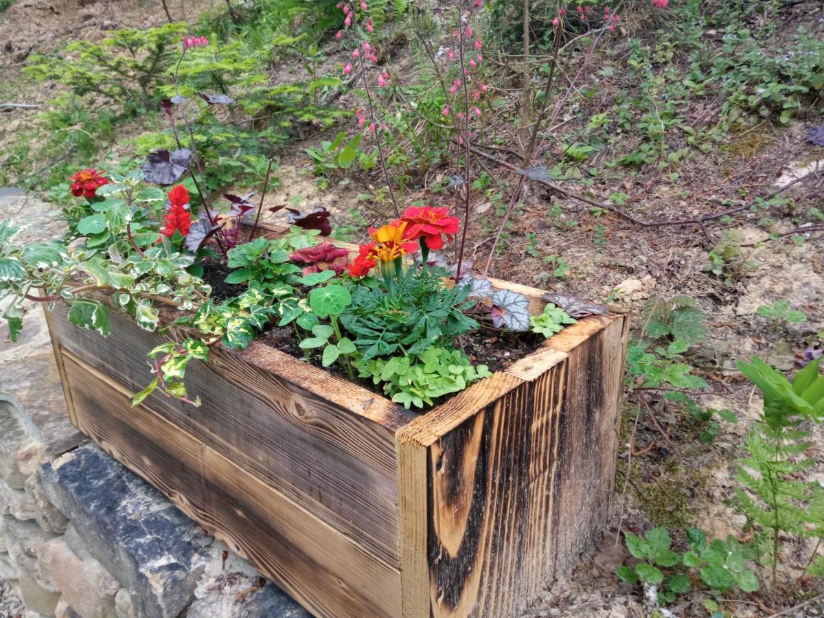 Osada Sroczy Jar Villa Rozpucie Luaran gambar