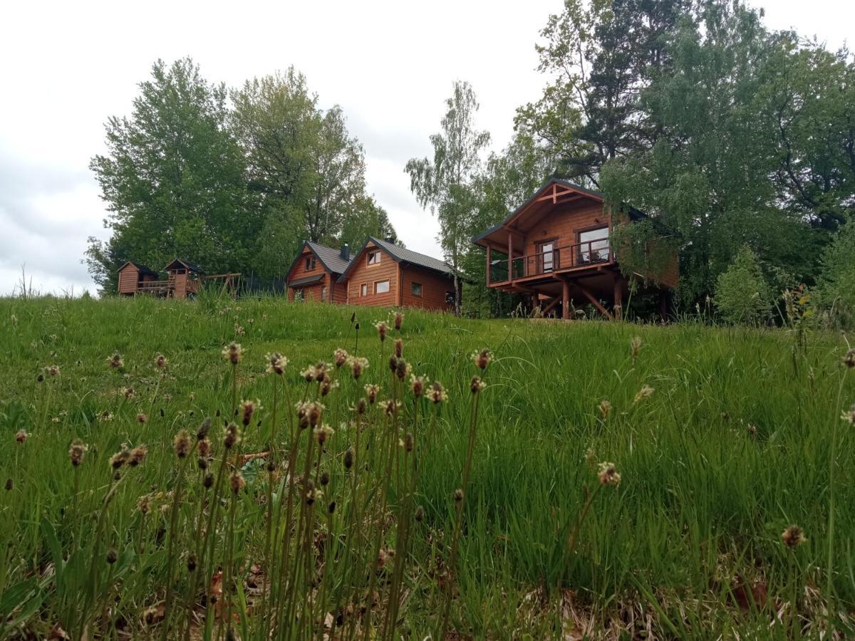 Osada Sroczy Jar Villa Rozpucie Luaran gambar